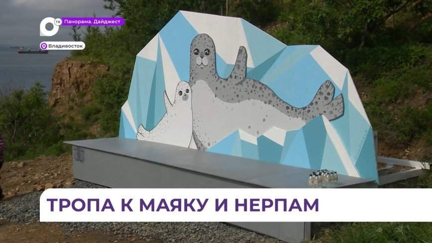 Арт-объект с нерпами теперь красуется на сопке возле Токаревского маяка