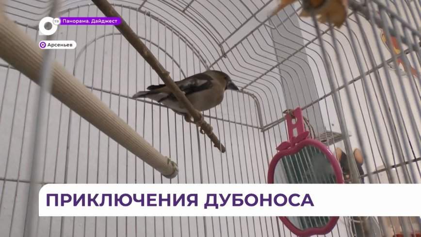 Необычный обитатель появился в живом уголке отделения экологии и туризма в Арсеньеве
