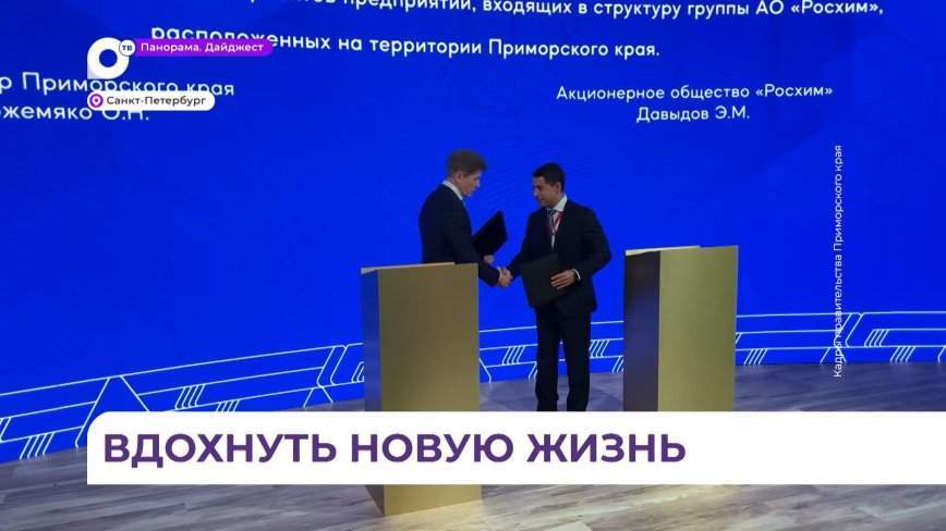 В Приморье готовится программа по модернизации производства на Дальнегорском ГОКе