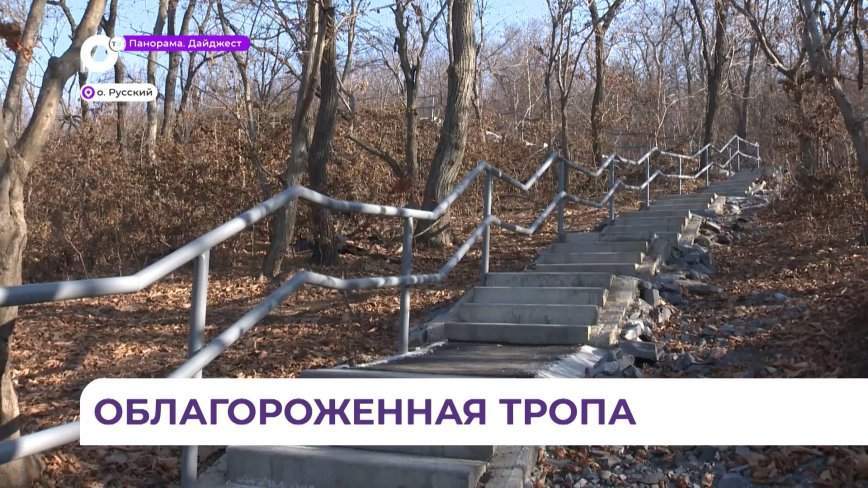 Программа поддержки ТОС помогла жителям Поспелово благоустроить короткий путь к домам
