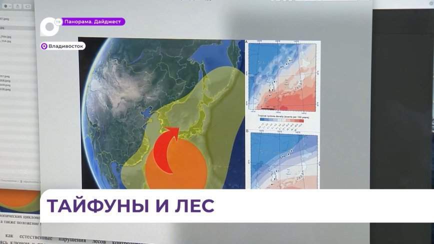 Тайфуны и снегопады станут частыми гостями в Приморье