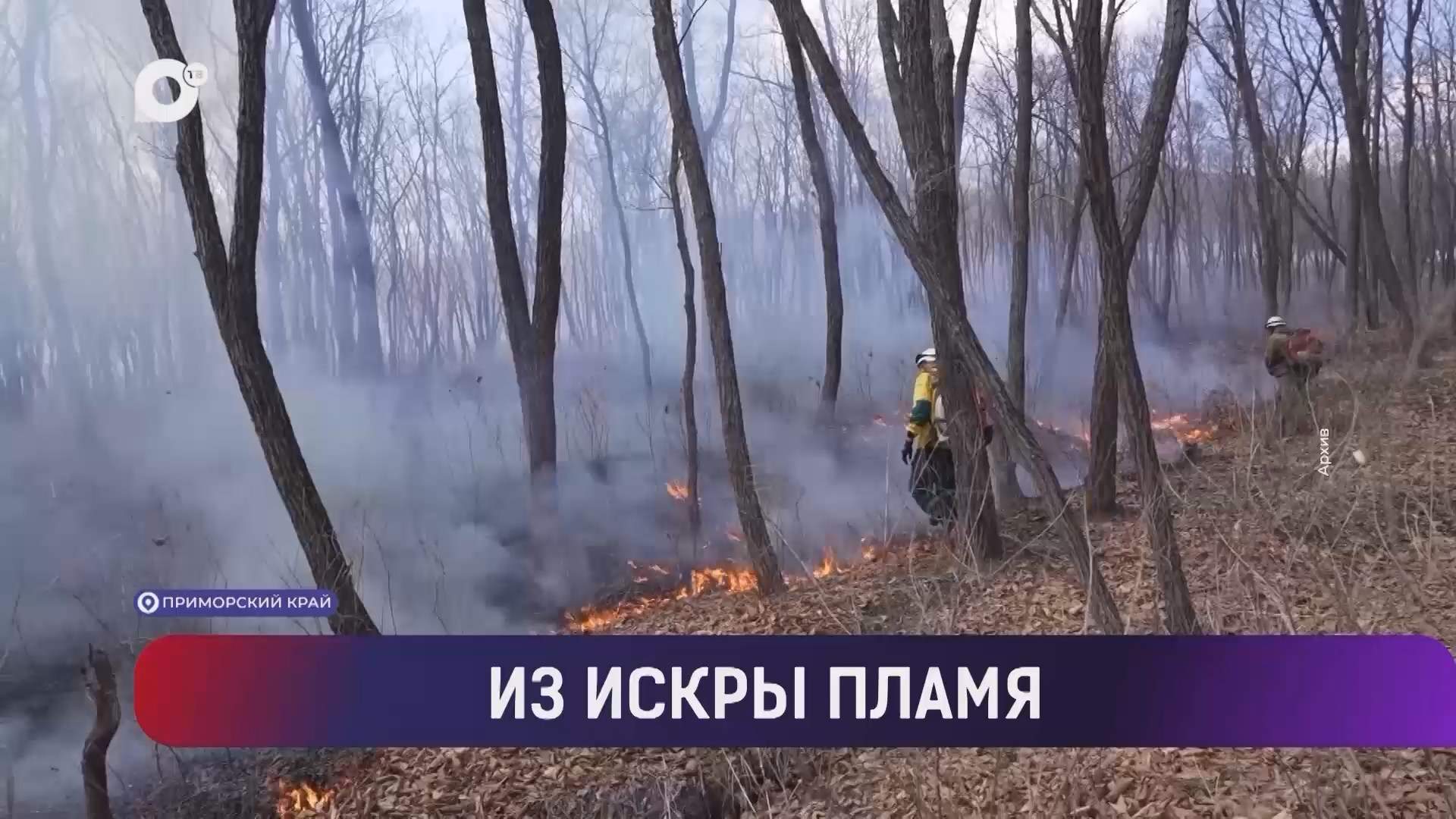 Выводы / Из искры пламя / 26.09.26