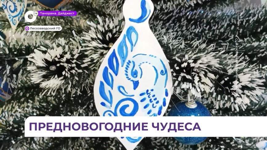 Лесозаводск присоединился к благотворительной акции «Ёлка желаний»
