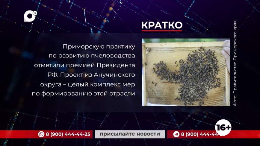 Кратко. 17.01.24 (Утро)