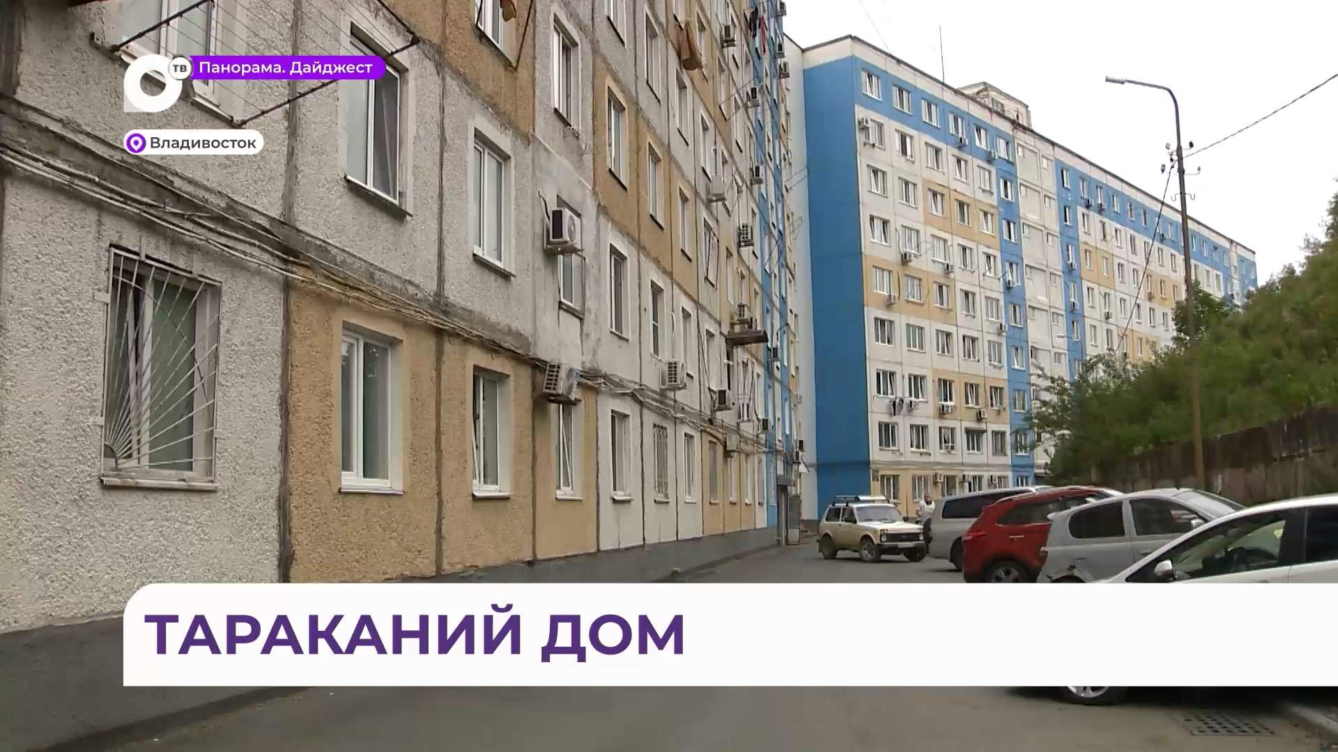 Каждую ночь жители дома во Владивостоке попадают в настоящий фильм ужасов с тараканами
