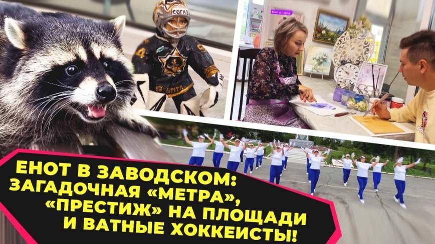 Енот и народ / Енот в Заводском: загадочная "метра", "престиж" на площади и ватные хоккеисты / 25.08.23