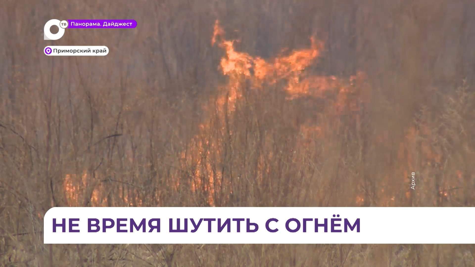 В приморских лесах возрастает пожарная опасность