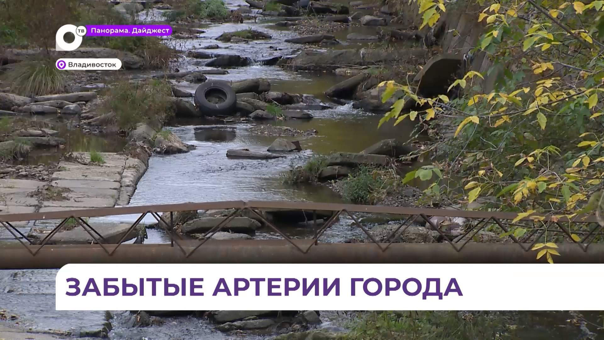 Во Владивостоке городским речкам дают новую жизнь