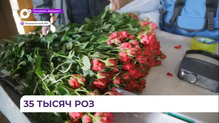 Партия цветов из Китая прошла фитосанитарный контроль во Владивостоке