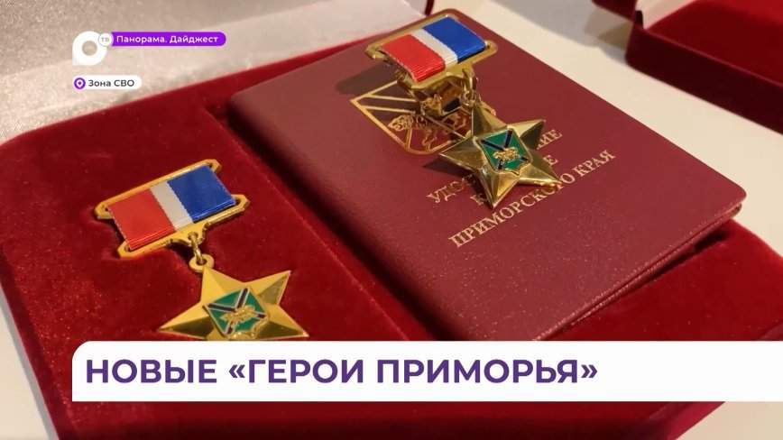 Знаки особого отличия «Герой Приморья» вручил бойцам губернатор Олег Кожемяко