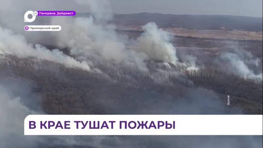 Три природных пожара потушили в Приморье за минувшие сутки