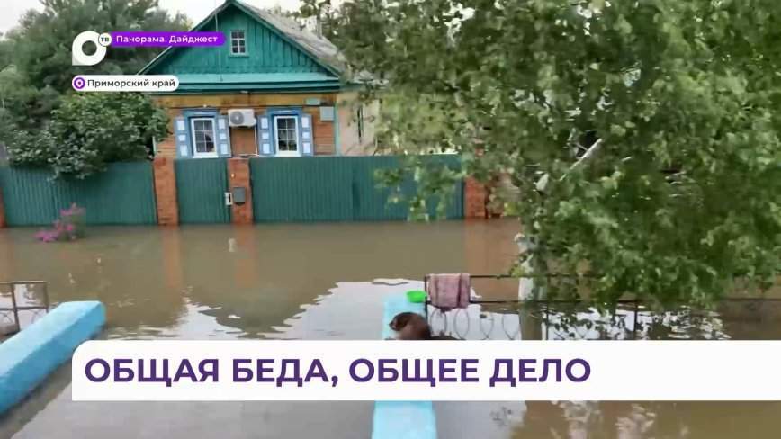 Центр сбора помощи пострадавшим от затопления приморцам открылся во Владивостоке