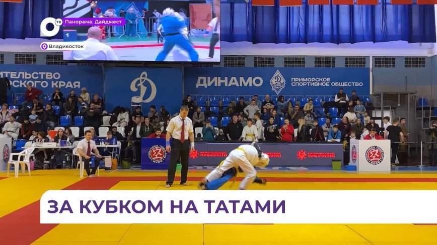 В Приморье разыграли Кубок по кудо