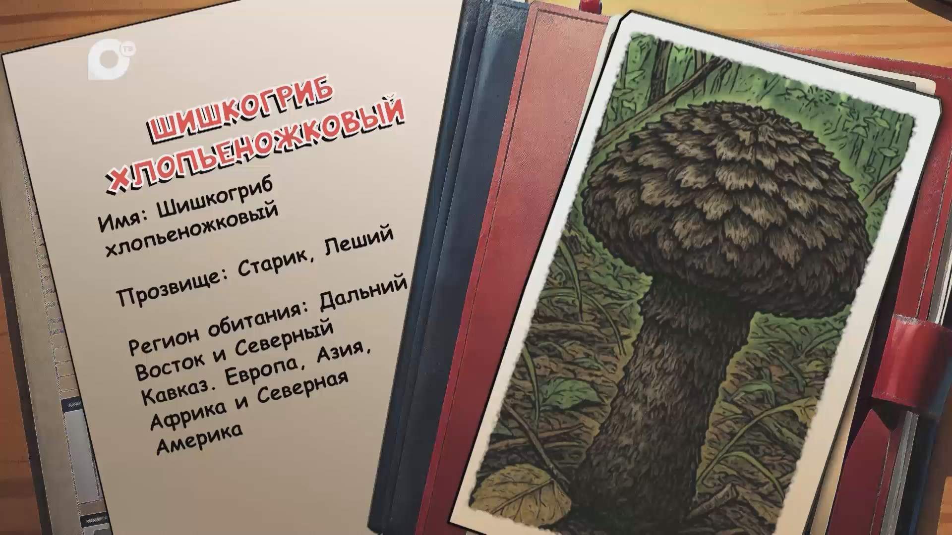 Агент биосферы / Шишкогриб хлопьеножковый / 25.03.26