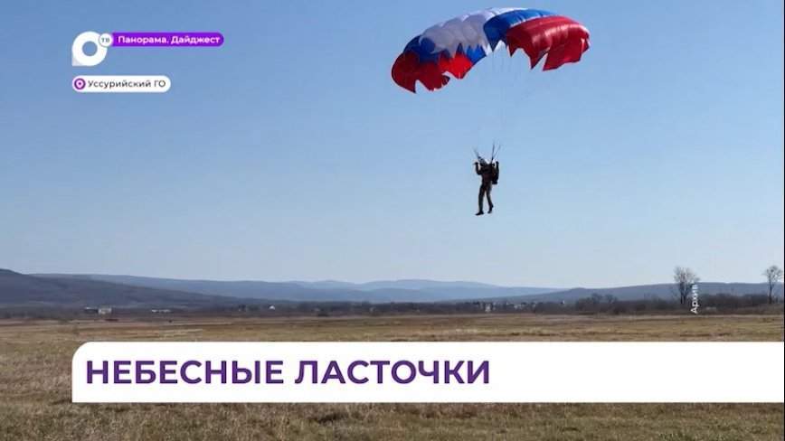 Приморская федерация парашютного спорта признана одной из лучших в стране