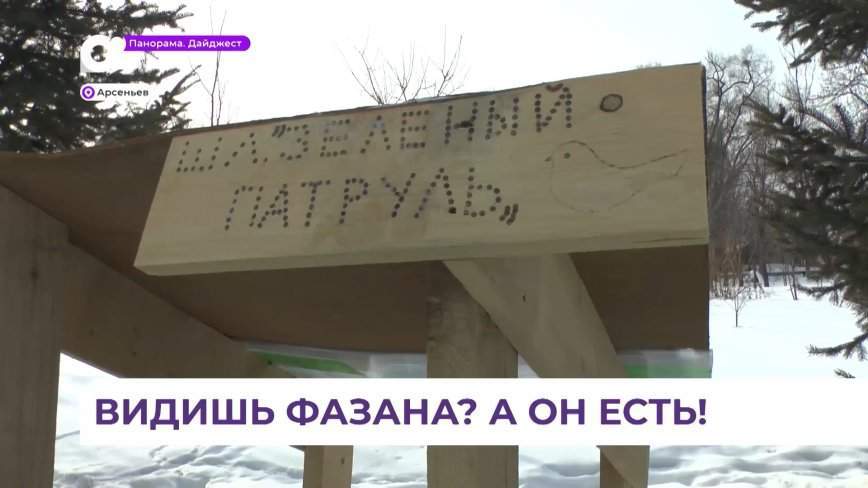 Юные лесничие и Центр сохранения биоразнообразия «Голос природы» пришли на помощь фазанам