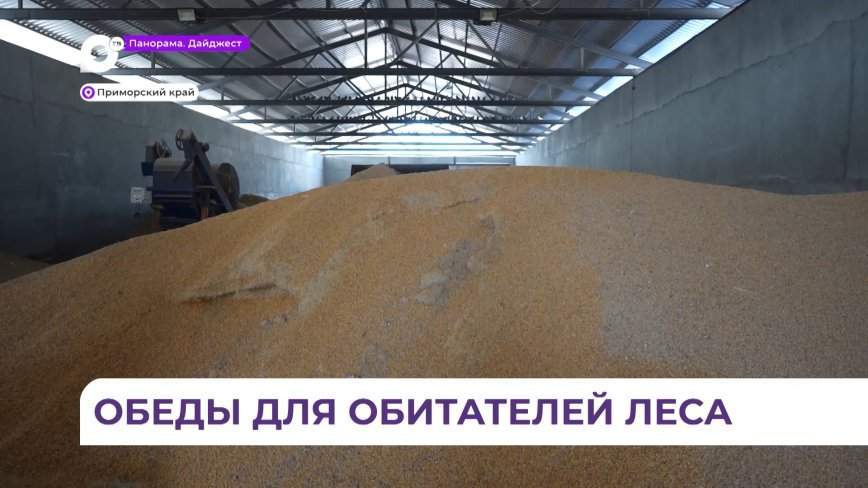 Более пятисот тонн зерновых отправили в пострадавшие от циклона районы Приморья