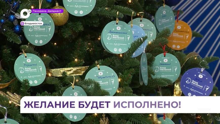 «Елка желаний» исполнит заветные мечты приморских ребят