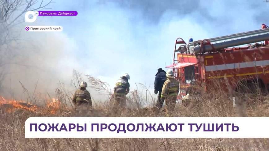 В Приморье ликвидировали 30 природных пожаров