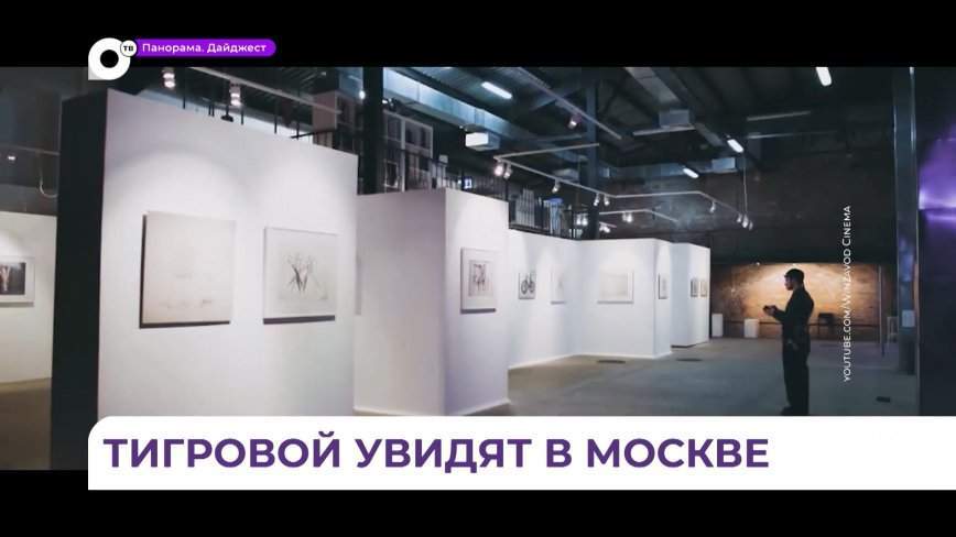 Выставка приморского художника Елены Никитиной «Свернутое измерение» сегодня открывается в Москве