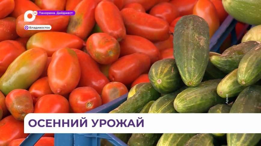 И хлеб, и зрелища: выставка-ярмарка «Приморские продукты питания» развернется во Владивостоке