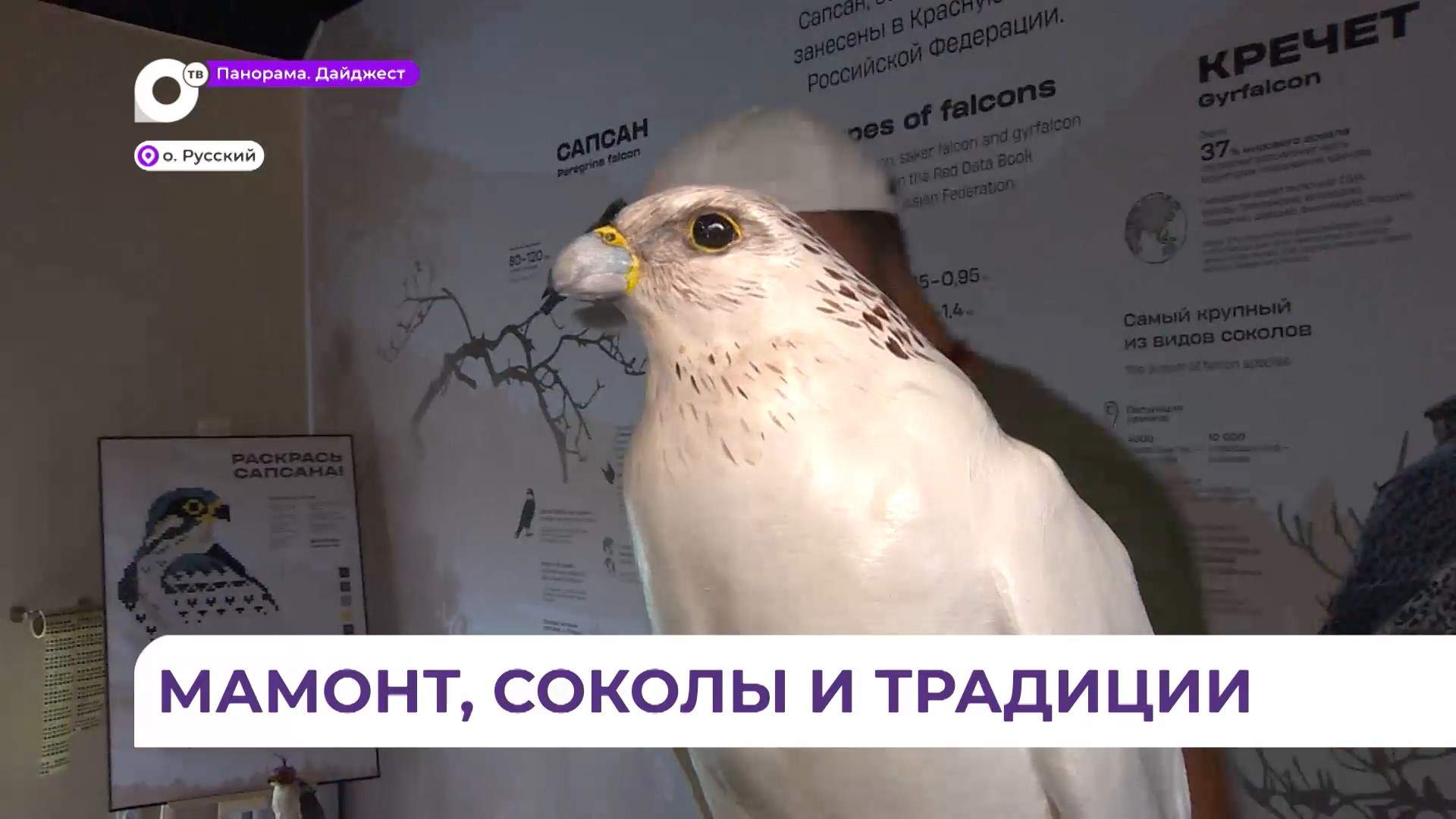 На десятом Восточном экономическом форуме регионы традиционно делятся лучшим