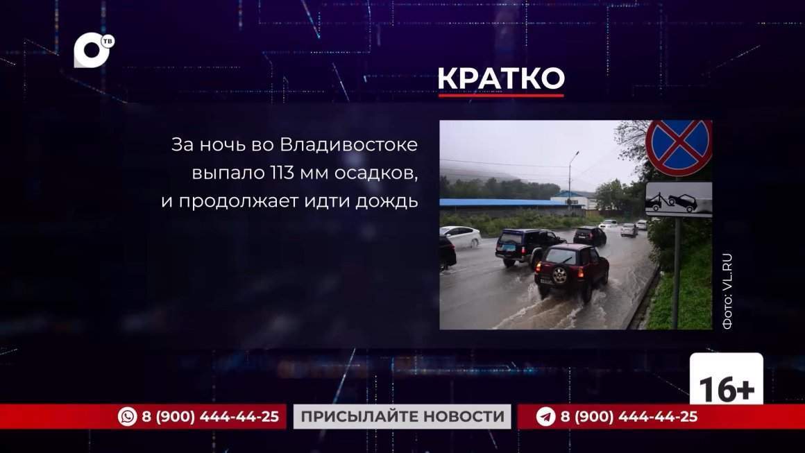 Кратко / 20.08.24 / Утро