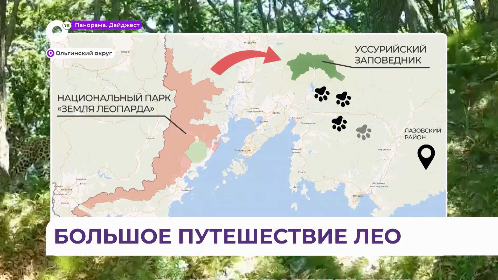 Леопард Лео 260M осваивает Ольгинский район