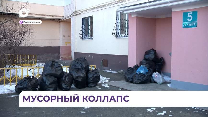 Во Владивостоке назревает мусорный коллапс