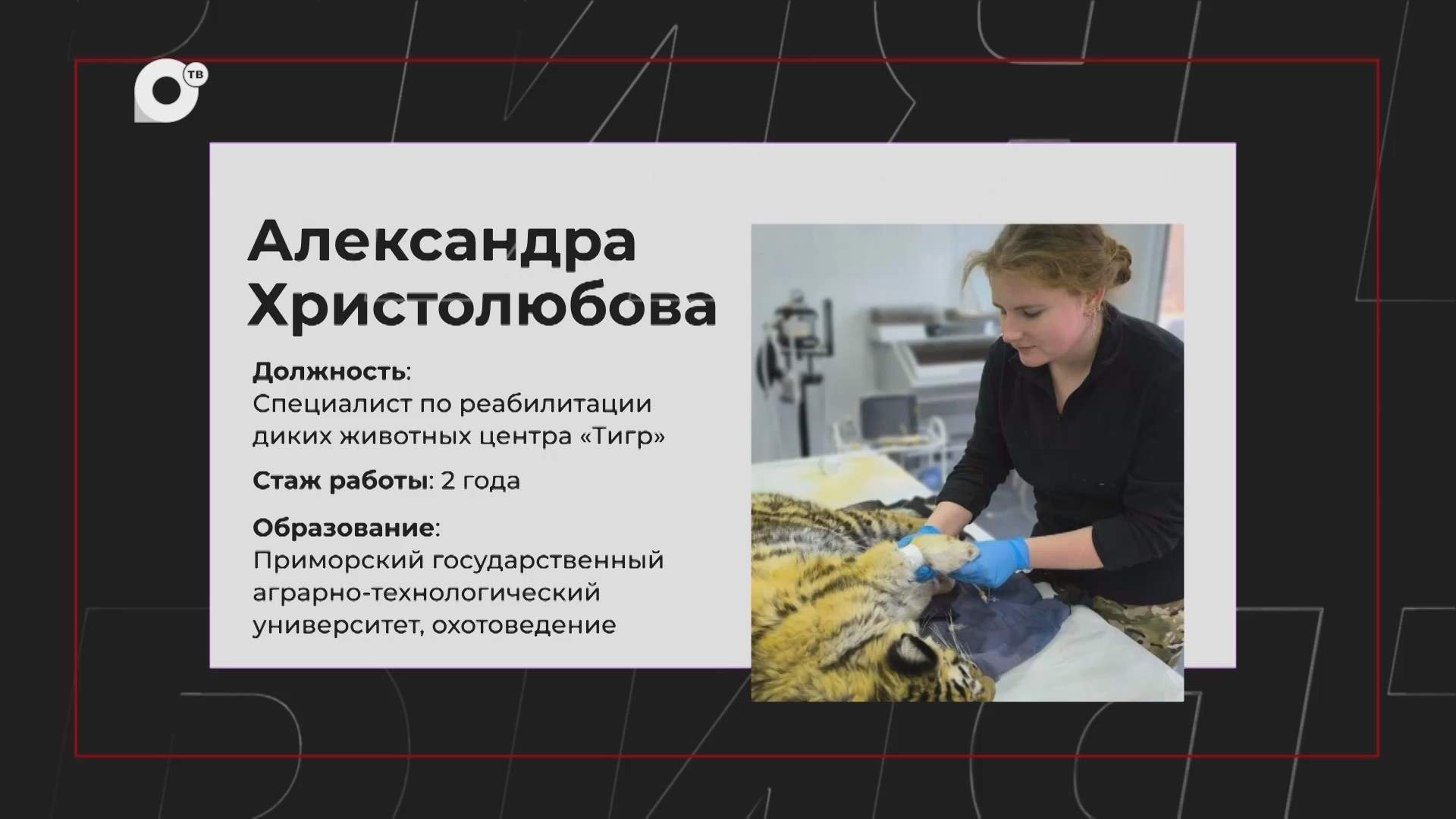 НЕработа / Специалист по реабилитации диких животных / 18.10.26