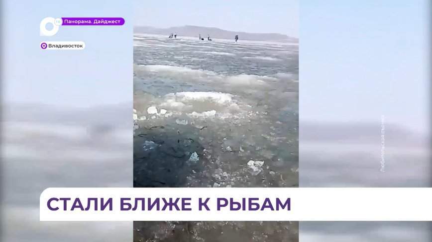Собственное здоровье и даже жизнь до сих пор ставят под угрозу рыбаки из Владивостока