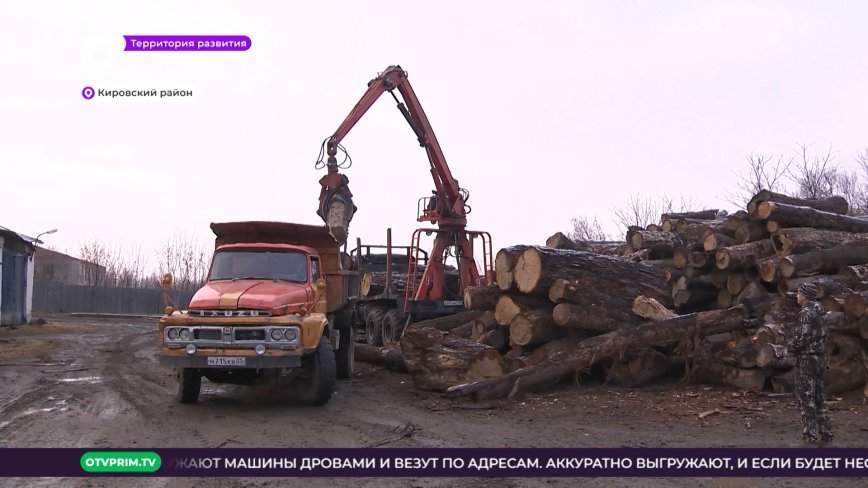 Территория развития / Лес в помощь / 14.11.22