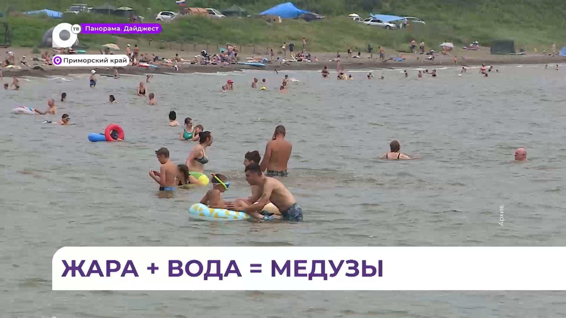 За последние сутки 14 человек с ожогами от медуз попали в больницу № 2 Владивостока
