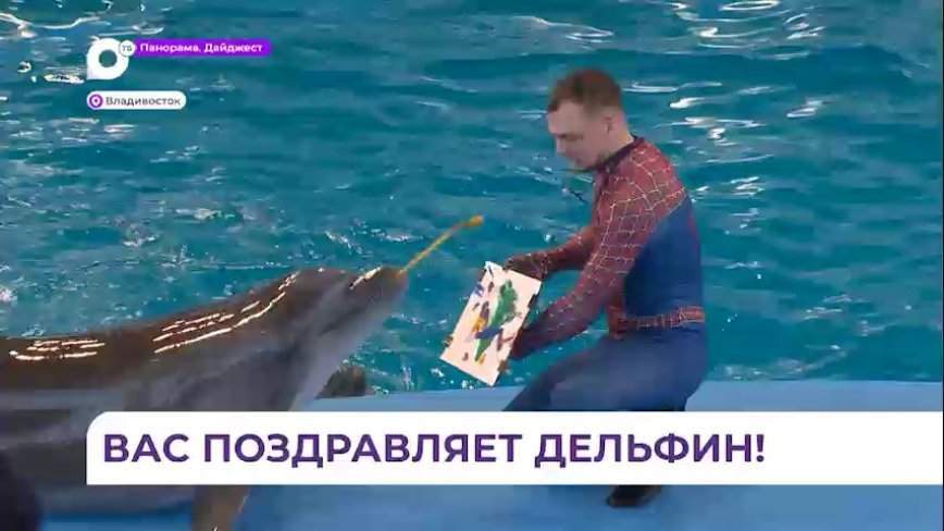 Водное шоу в дельфинарии санатория «Океан» организовал «Подряд»