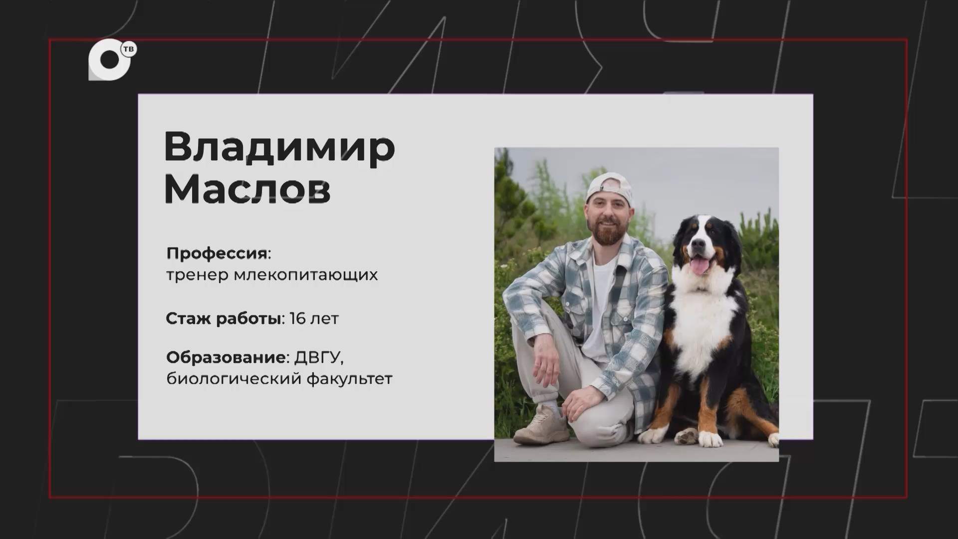НЕработа / Тренер млекопитающих и орнитолог / 06.09.26