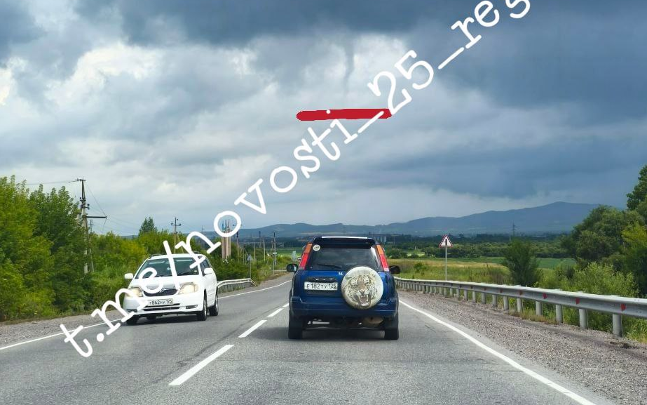 Тайфунов в Приморье нет, но в крае появилась новая напасть
