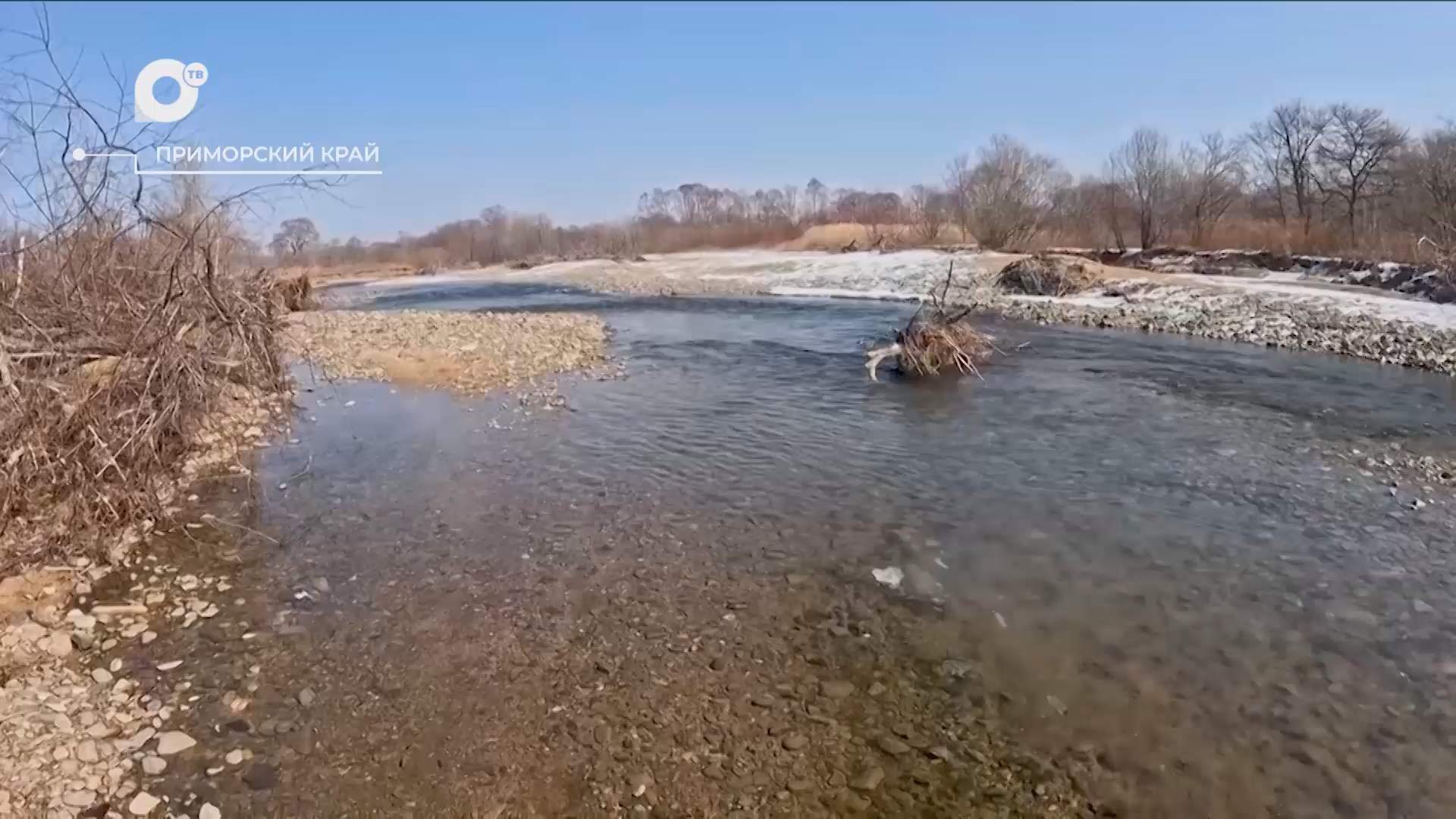 Разведка блогом / 17.03.26