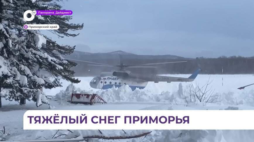 Новую новогоднюю ёлку установили на центральной площади Арсеньева