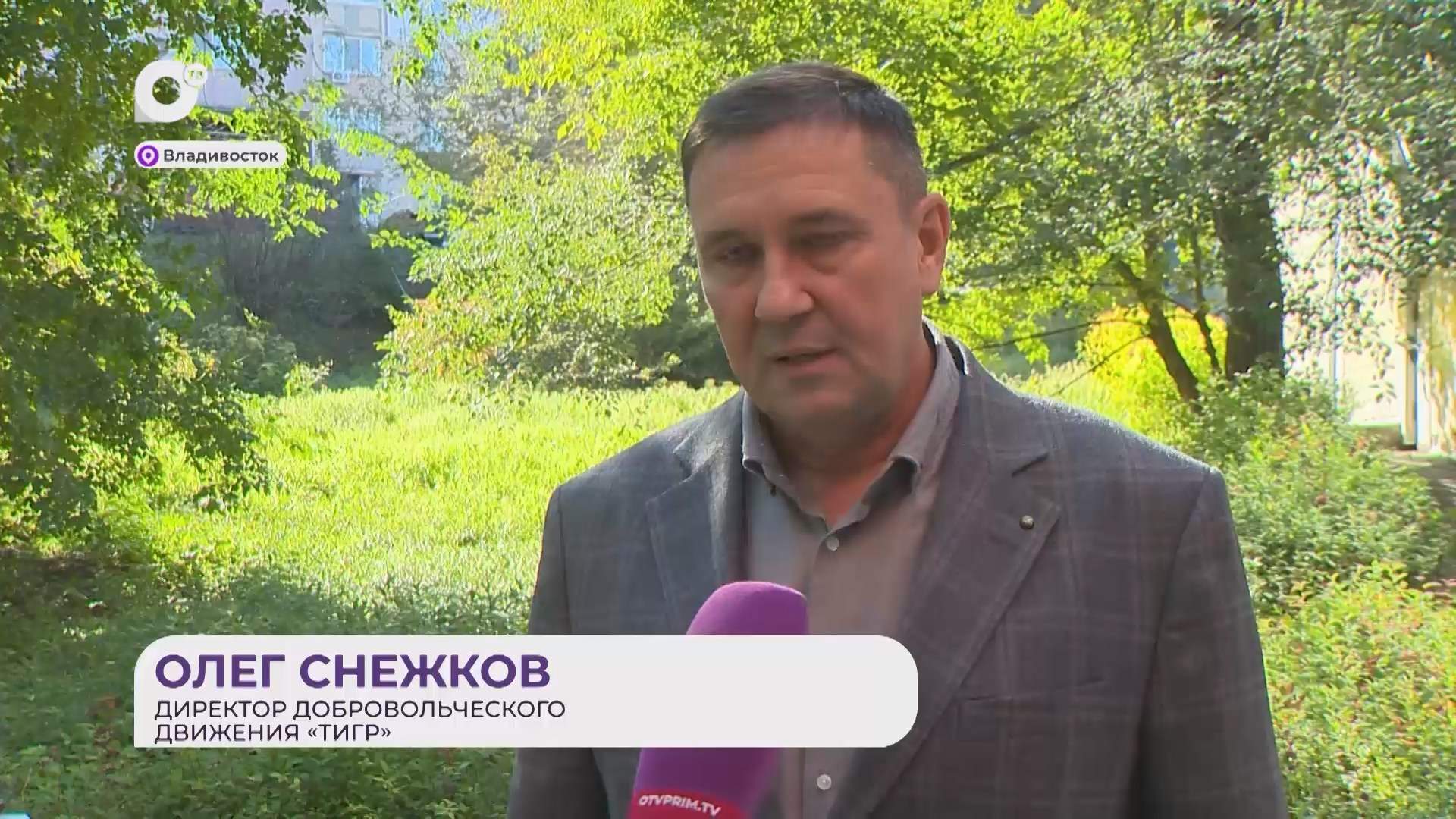 Прямая речь / О голосовании за Тигров / 12.10.26