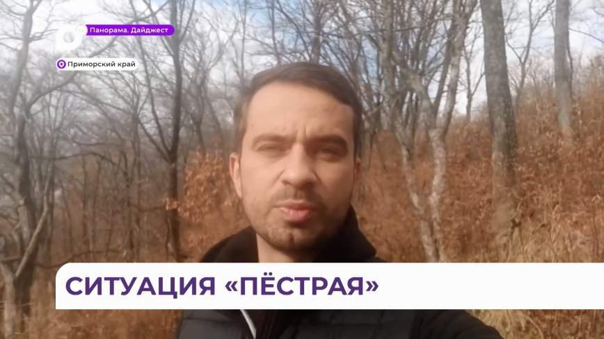 Расслабляться не стоит: новый снег, дождь, холод не за горами — дата