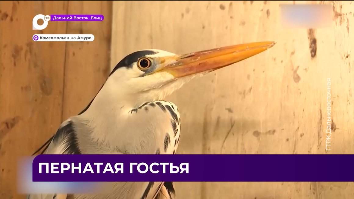 Дальний Восток Блиц / 30.03.23