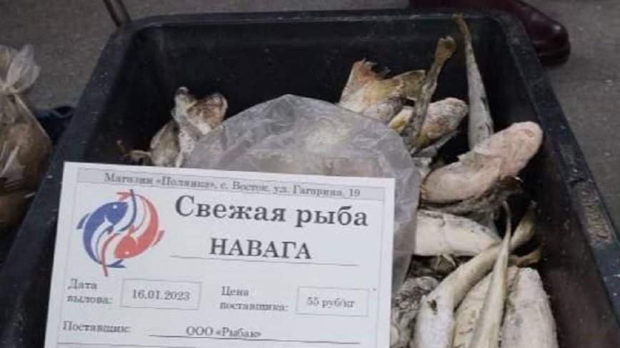 «Кошмар»: житель Приморья увидел цену наваги на Сахалине и обомлел