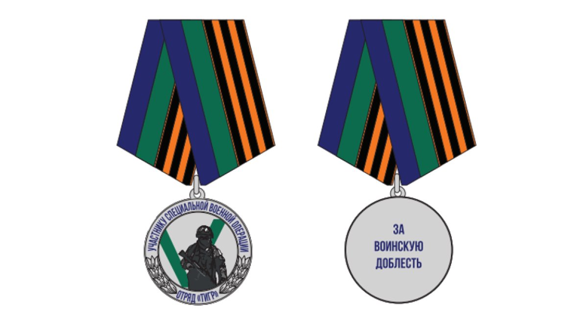 Специальную награду – медаль и деньги – учредят в Приморье для участников СВО