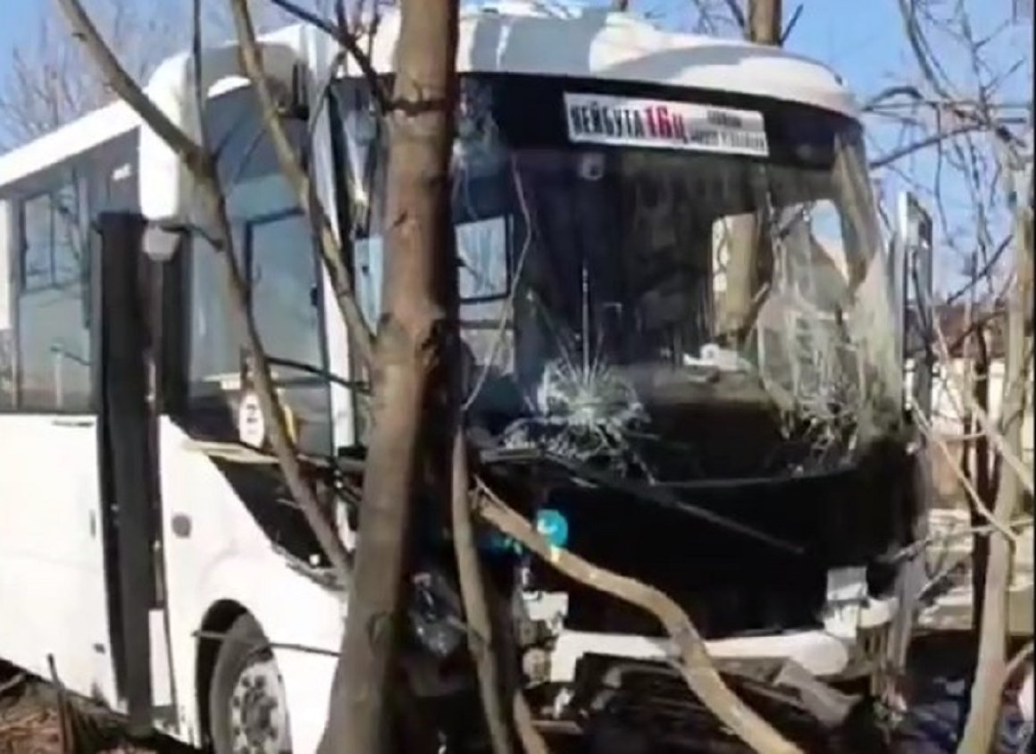 Стало плохо за рулем: пассажирский автобус врезался в дерево во  Владивостоке — подробности - ОТВ-Прим - Общественное телевидение Приморья  ОТВ