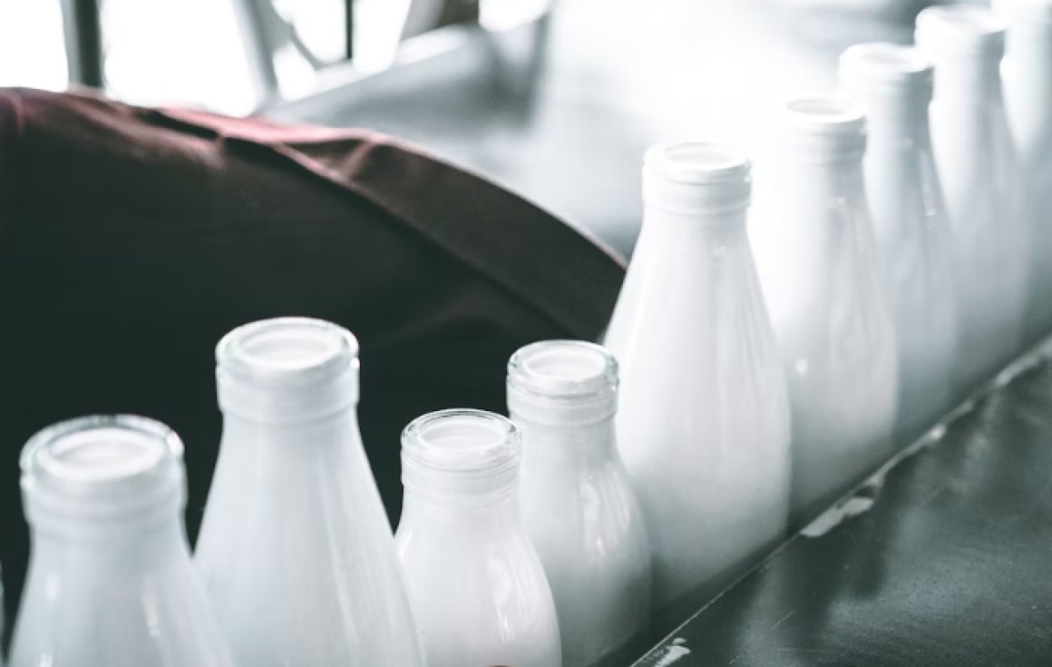 Много кальция и нет растительного жира: какие марки молока можно смело покупать