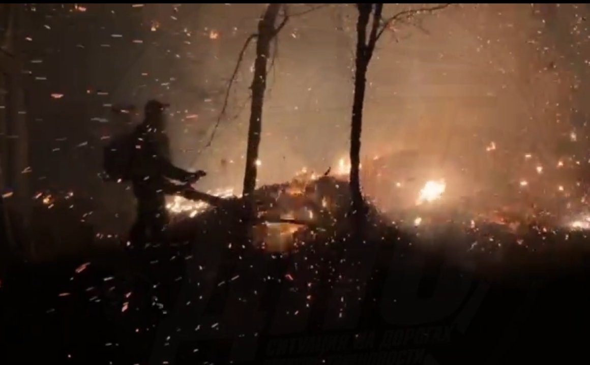 Люди вышли и боролись с огнём: страшные кадры пожара в Приморье попали на видео