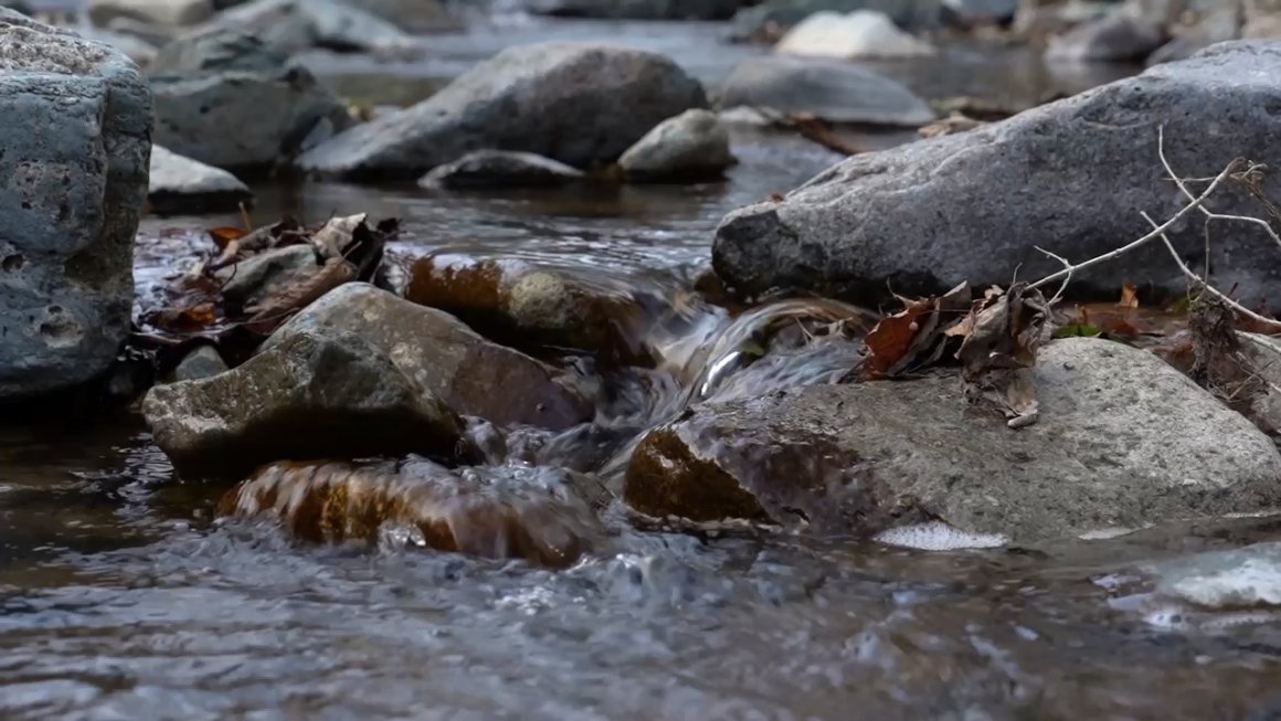 «Райское место»: идеально чистый водоём найден в Приморье