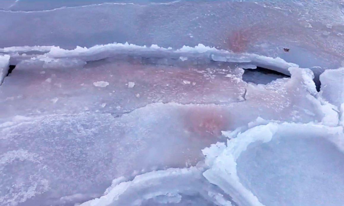 Лёд бывает красным: шокирующее исследование провели учёные