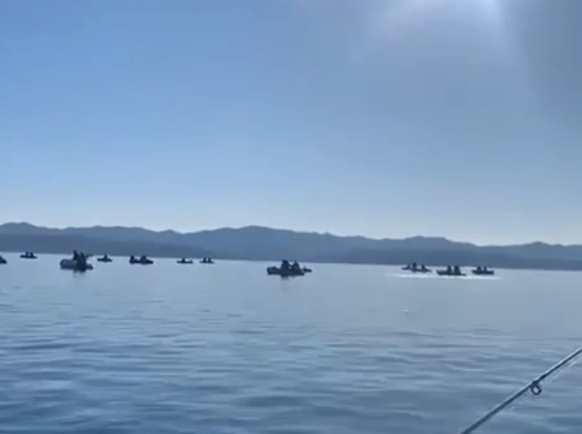 Десятки лодок вышли на охоту за минтаем в Приморье