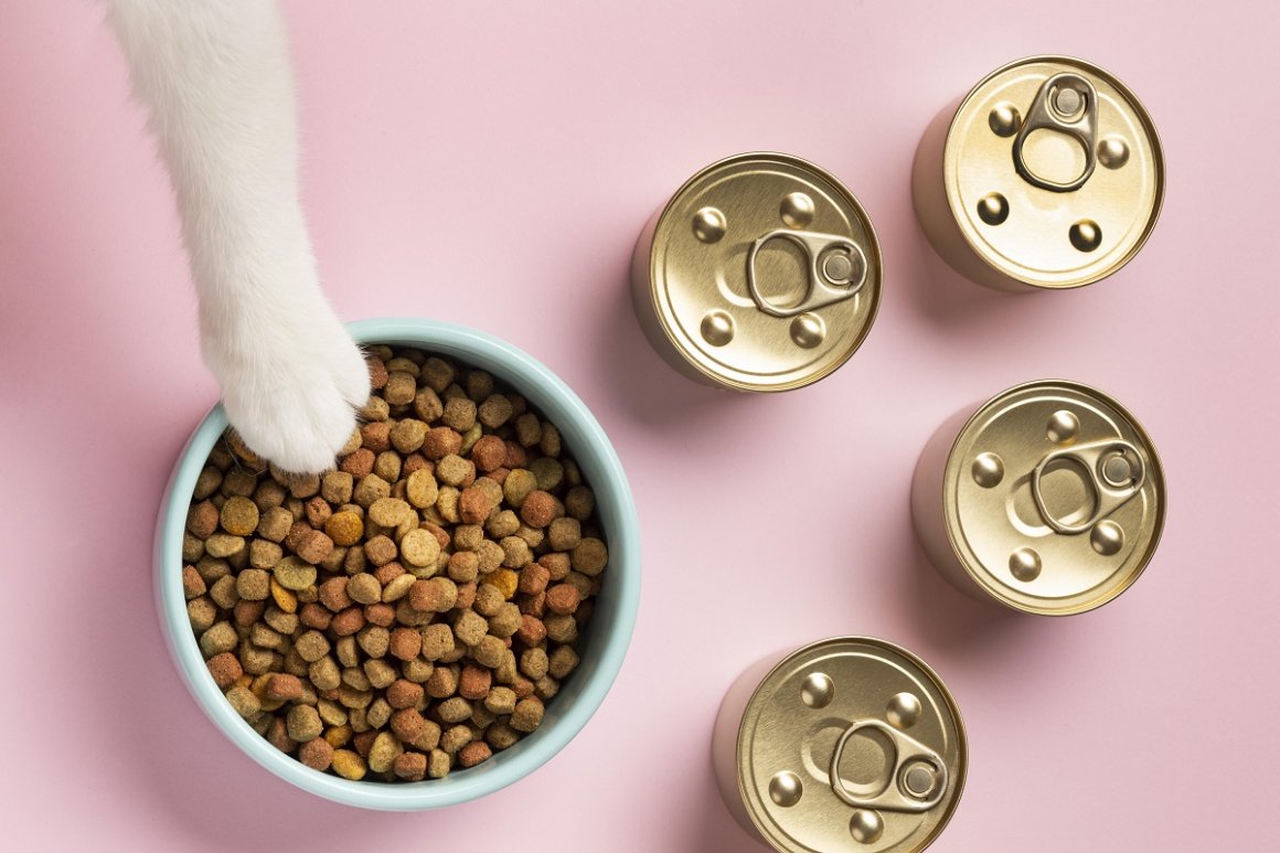 В России запретили ввоз популярного корма для кошек и собак